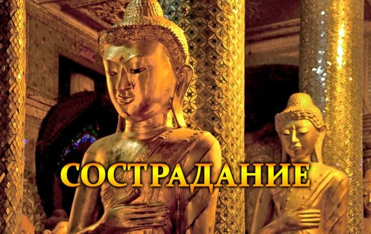 Что такое сострадание, нужно ли в жизни сочувствие?